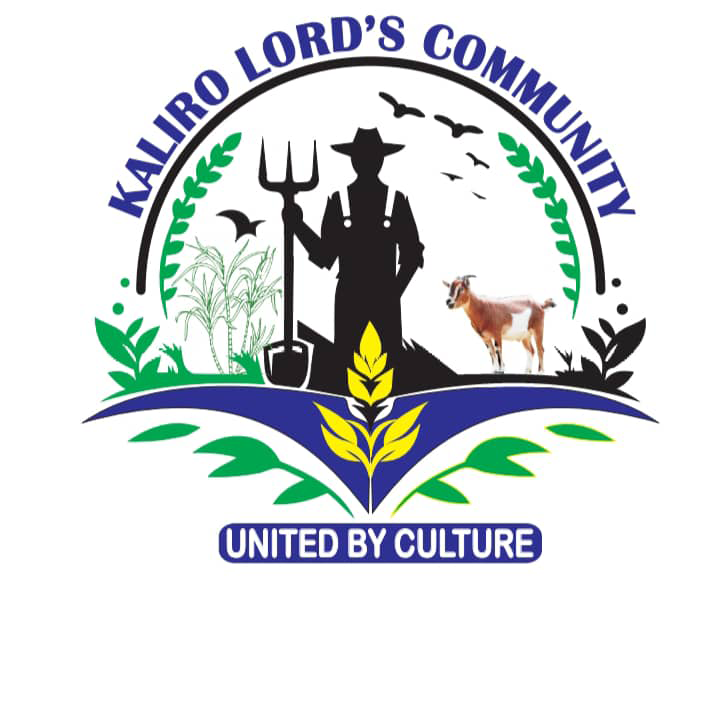 NABSI Logo